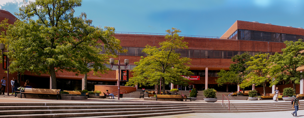 York College York College